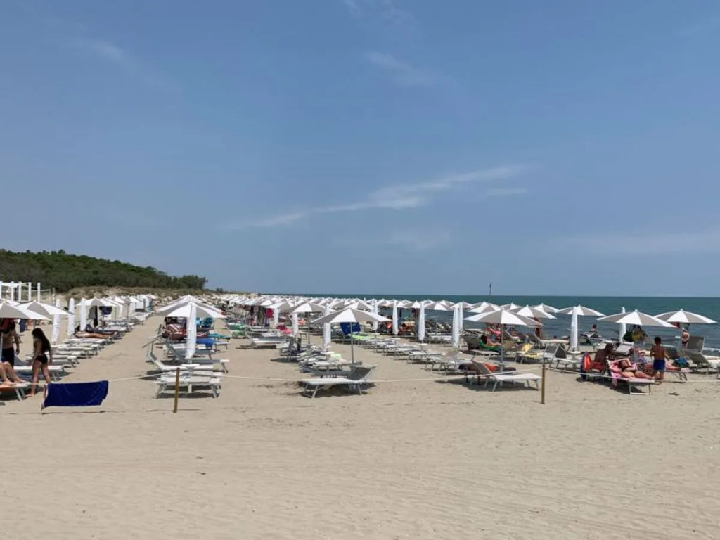 Mare Pineta 42191
