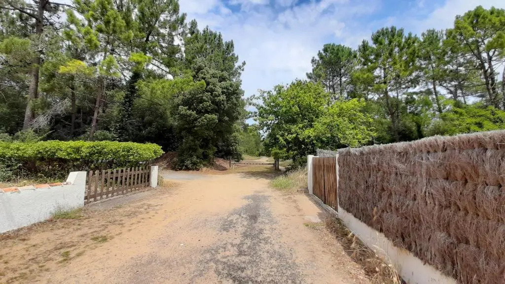 La Forêt des Rossignols - maison 4 à 6 personnes