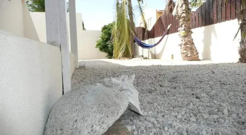 Elements of Aruba