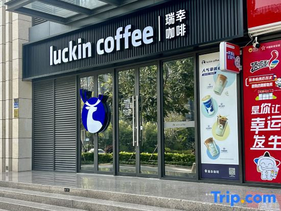 厦门伟尔酒店Xiamen Well Hotel