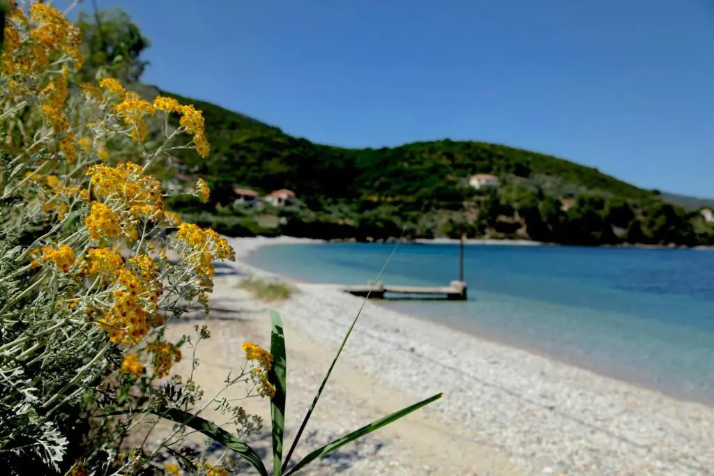 Casa Kalypso Suites & Villa