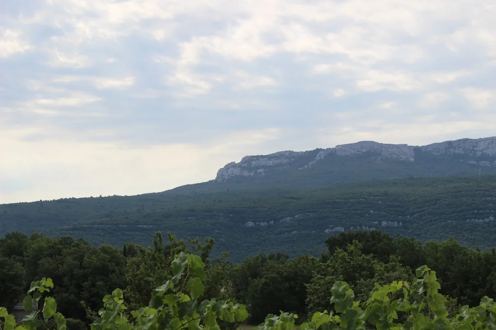 CHEZ ELLES EN PROVENCE