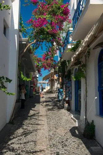 Petinis Place