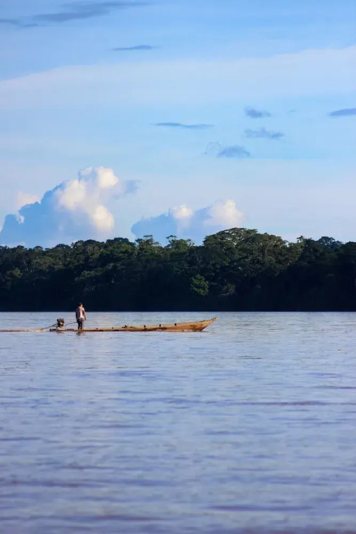 Tronco Tambopata Adventure