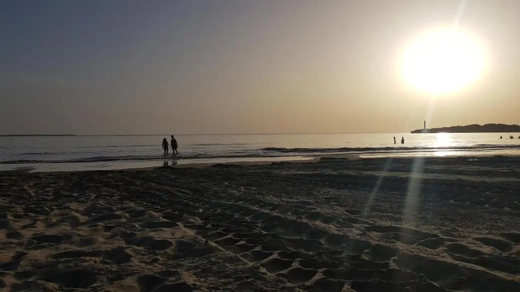 Bel appartement à 100m de la plage dans les pins Aperçu mer, wifi