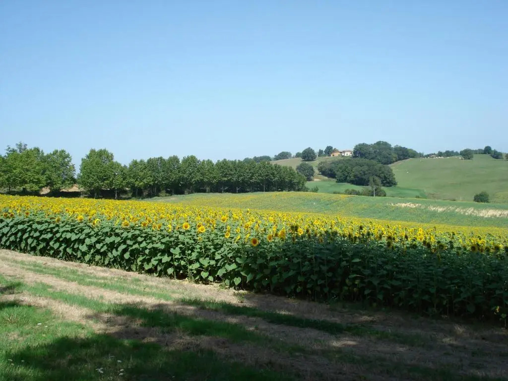 Relais du Château