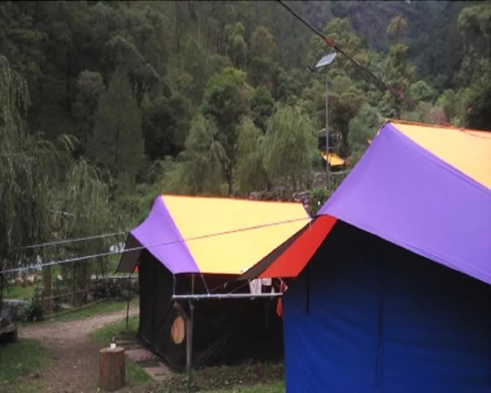 Camp Twilight