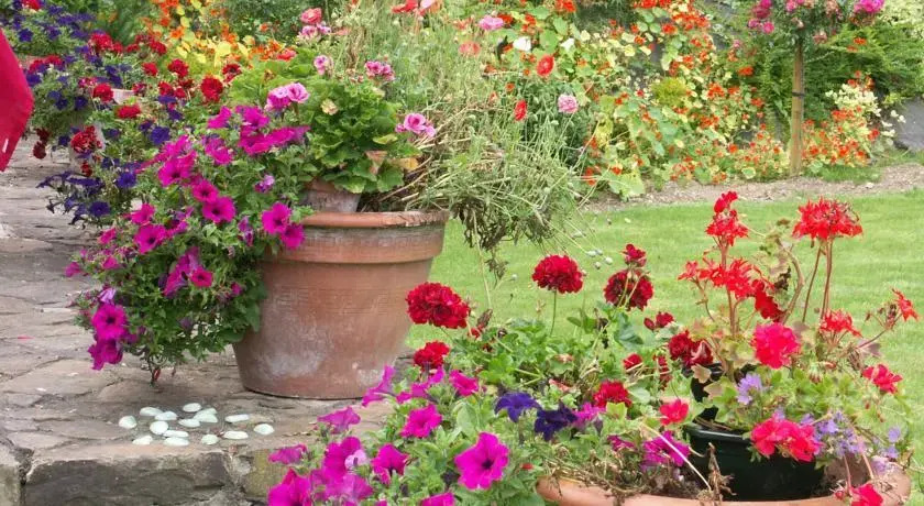 Arts in the Garden