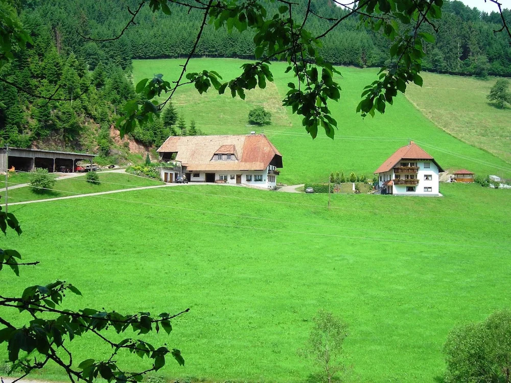 Apartment in Hofstetten Surrounded by Nature