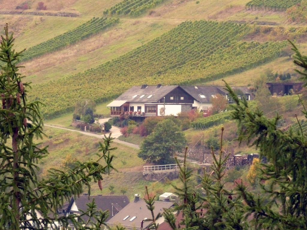 Weingut & Gästehaus Sonnenhof