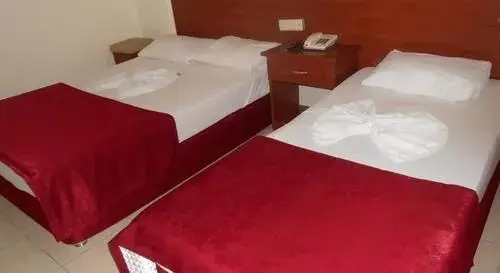 Alanya Demir Hotel