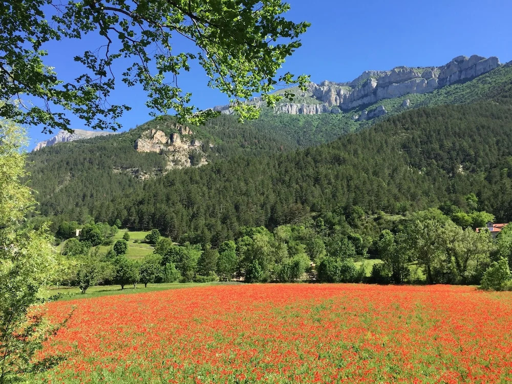 Domaine La Pique