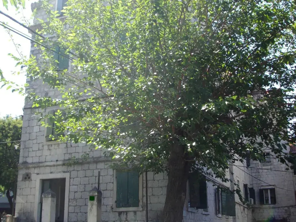 Studio Apartment Sretna - Studio Apartment