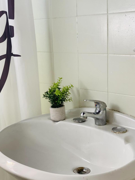 Brava Beach Hostel