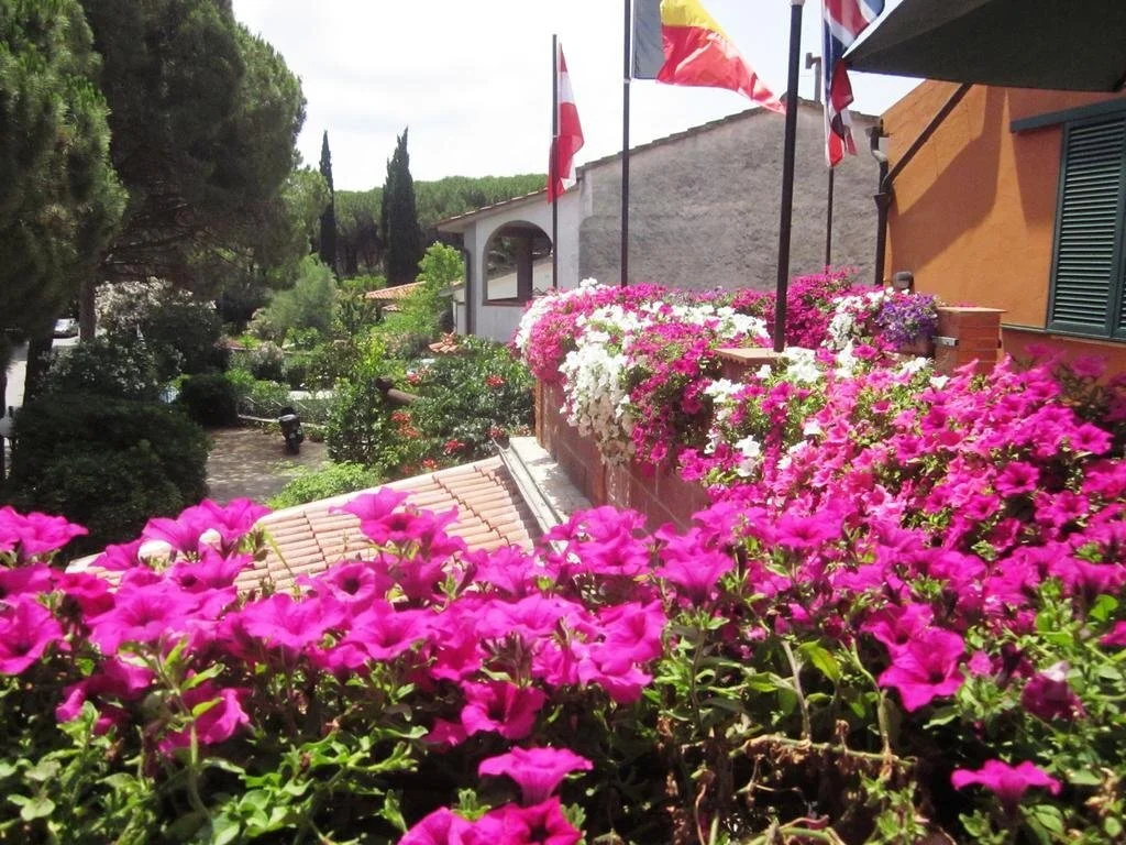 Hotel Elba (Adults Only)