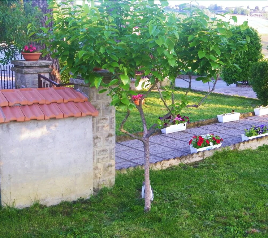 B&B Casa Losea