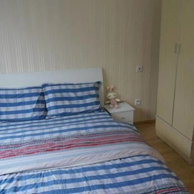 Tutu Youth Apartment(成都途途青年公寓)