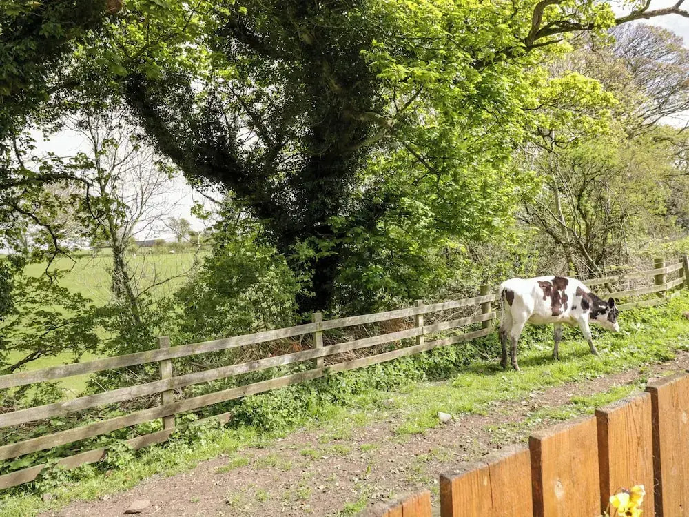 The Old Grainstore