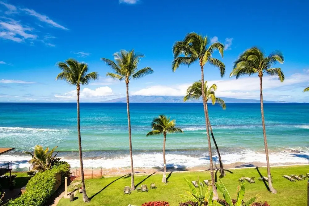Maui Penthouse Paki Maui #409 1 Bedroom Condo by Redawning