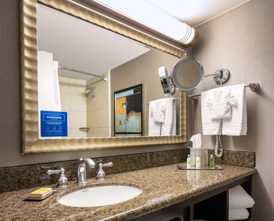 DoubleTree by Hilton Dallas Market Center