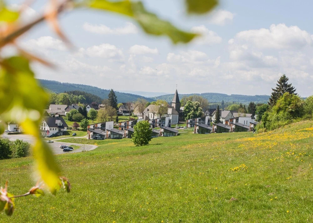 Luxus Villa Winterberg