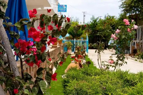 Asteri Studios