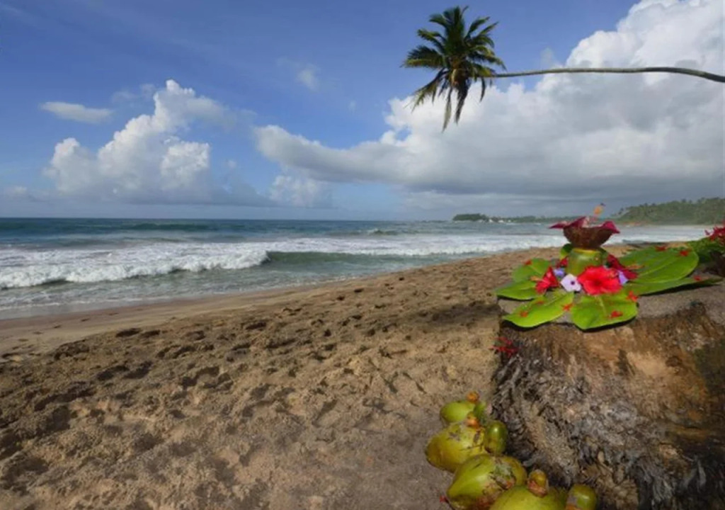 Soul Wellness and Ayurveda Resort-All Meals and Treatments Included
