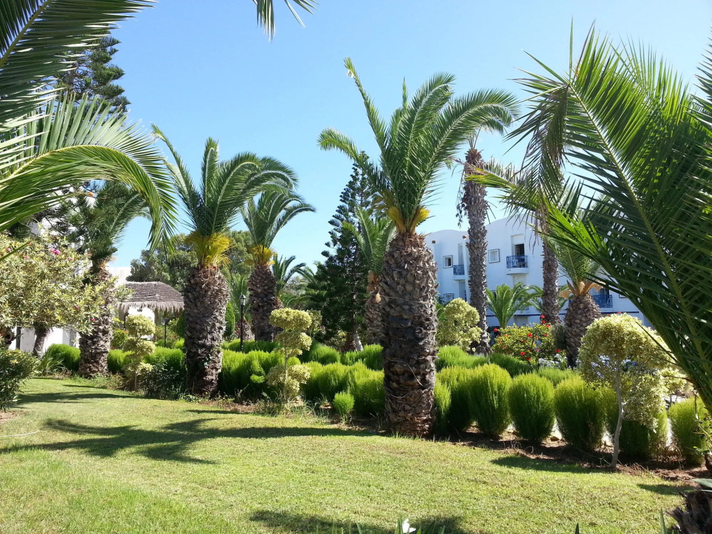 Eden Club Skanes