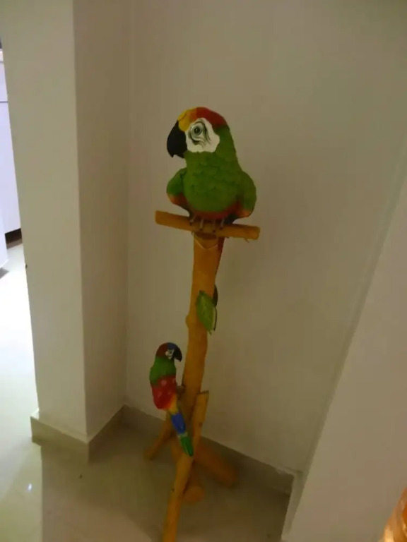 Casa Colibri - Ground Floor Near to Coco Beach
