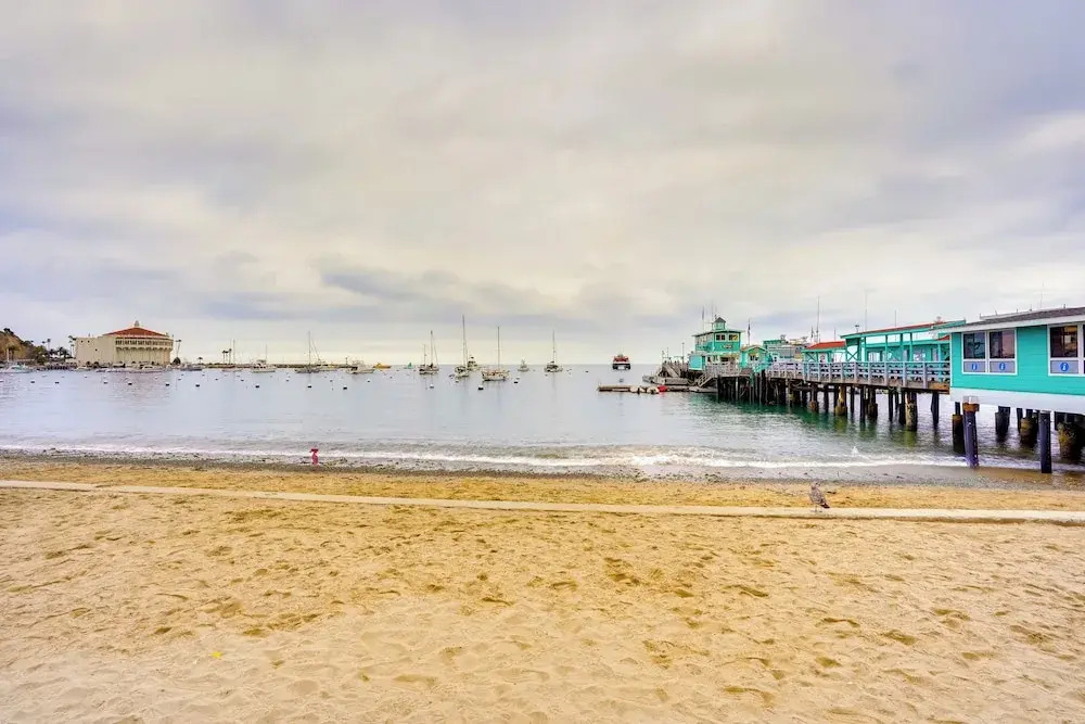 Tropical Island Escape w/ Deck, Walk to Avalon Bay