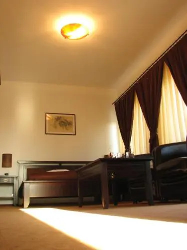 Vila Vlad