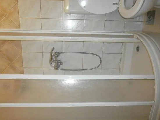 Apartment Viki