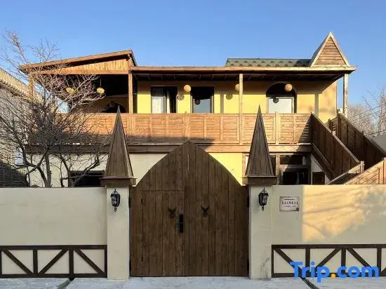The Magic House of the Fugitive Wizard