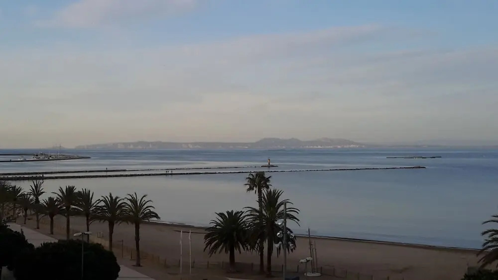 Palmeras 3.2