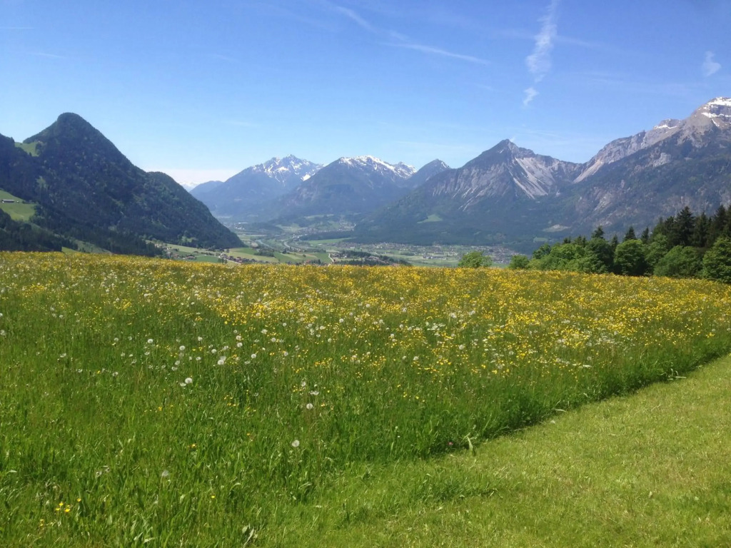 Panorama-Juwel Alpbachtal