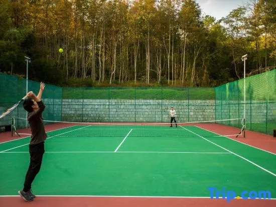 Huangshan Taiping Lake Pine cone Hotel