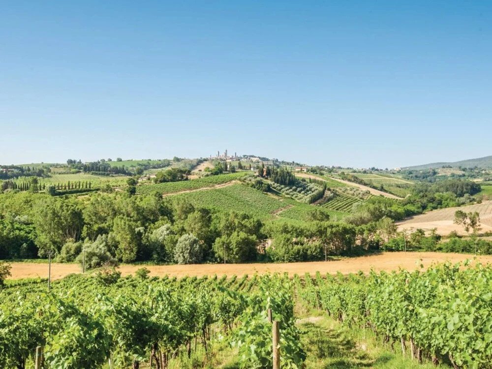 San Gimignano Hillside Haven