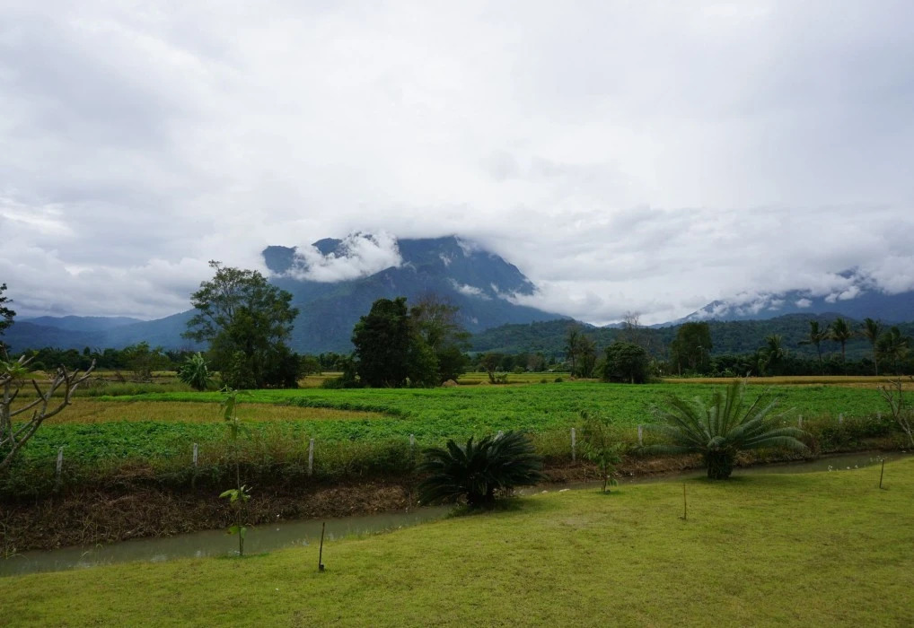 The Wes Village, incl free Breakfast & free todays dish Thai food dinner