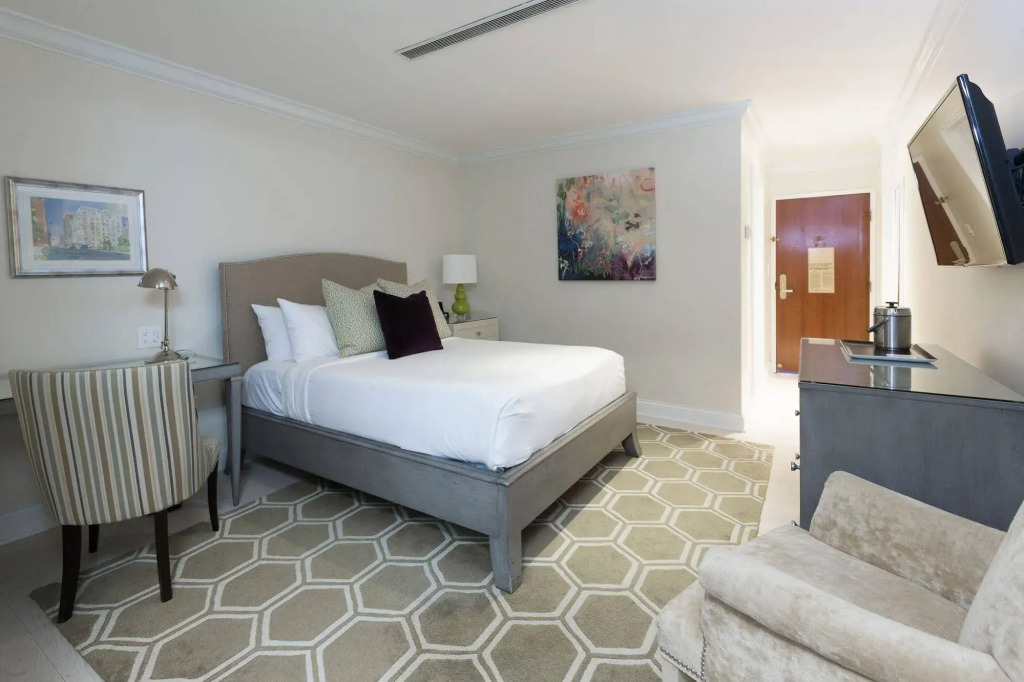 The Cincinnatian Curio Collection by Hilton