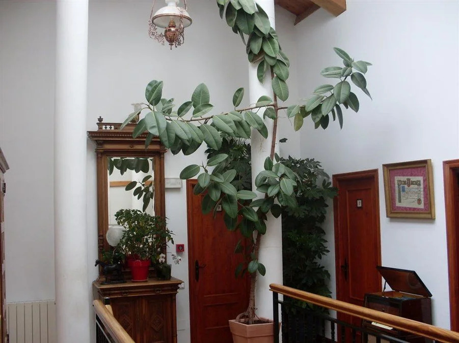 Posada de Trapa