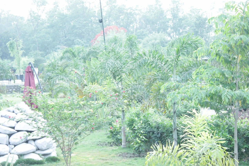 Hotel Jungle Crown