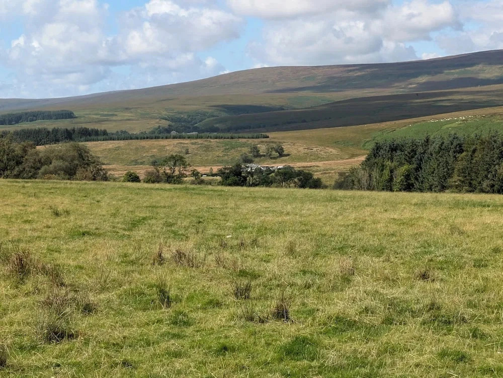 Pet Friendly - Lodge at Riverview Holiday Park