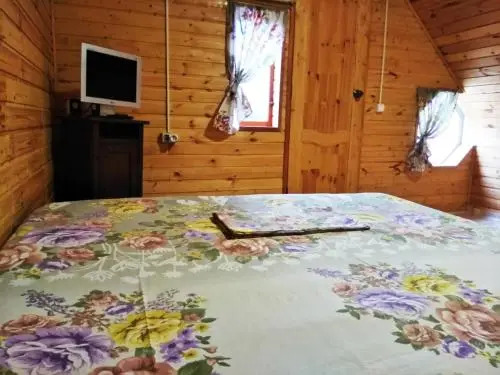 Guest House Camelia