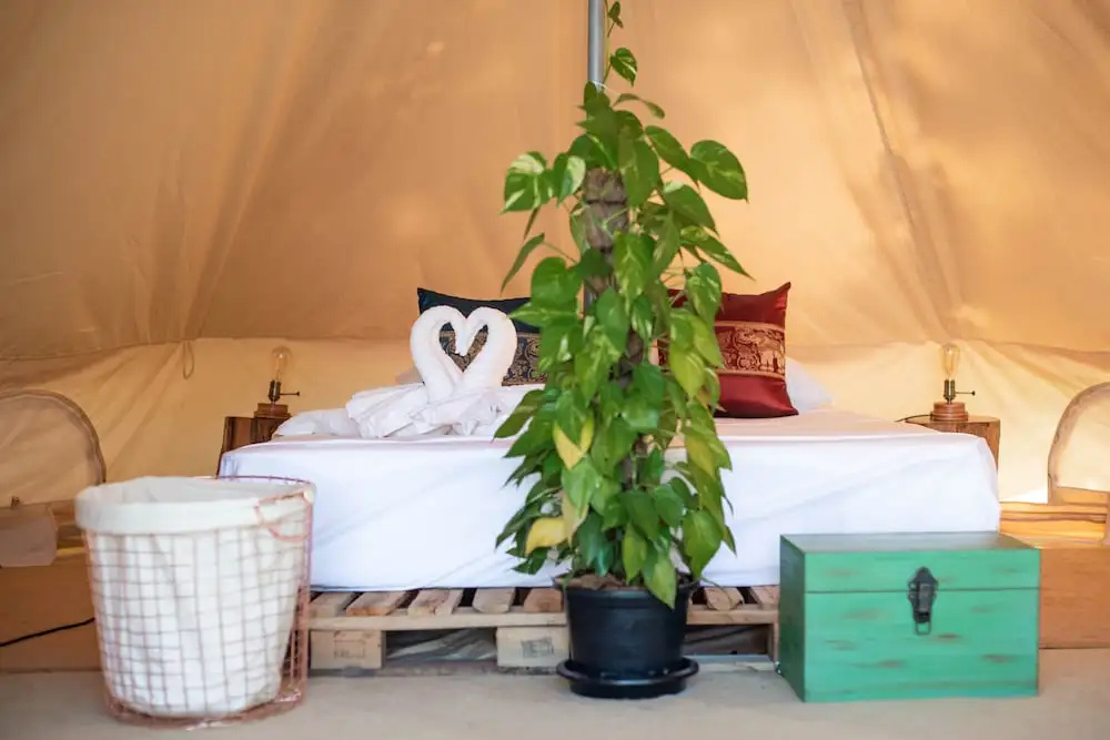 Roost Glamping - SHA Certified