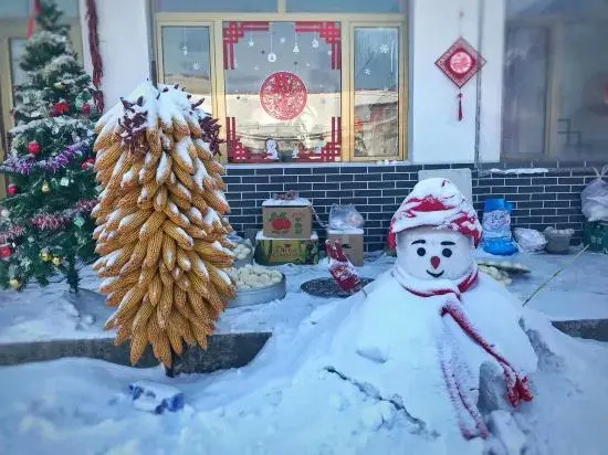Jilin Wu Song Dao Jia Xin Hostel