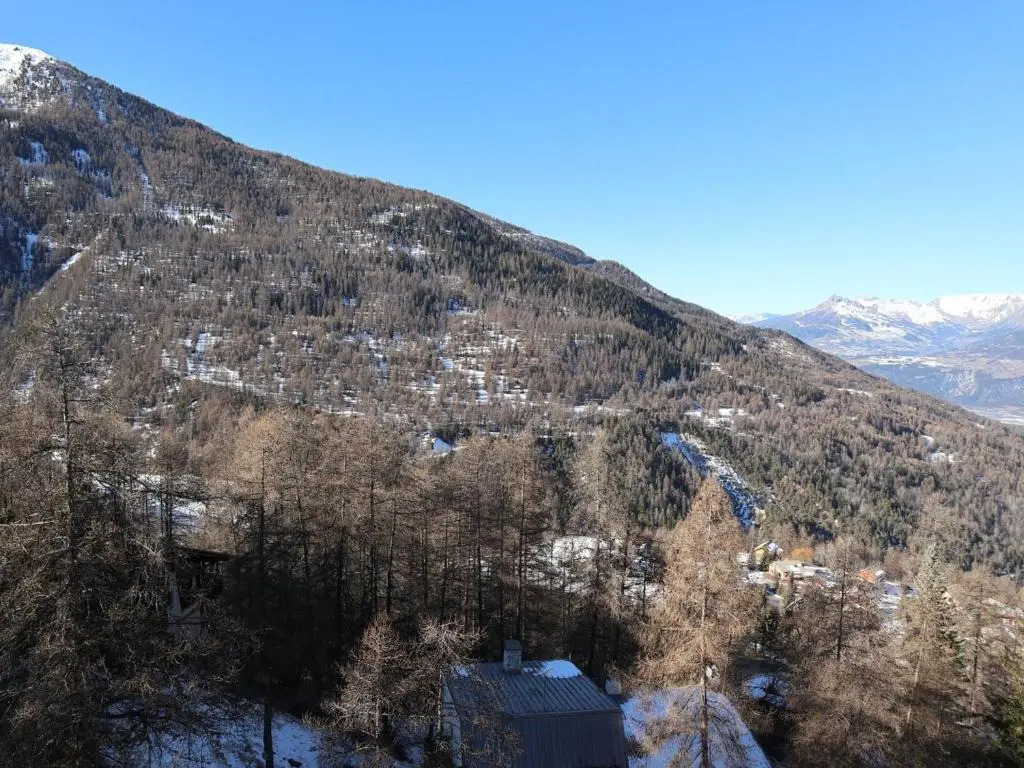 Appartement Les Orres, 1 pièce, 6 personnes - FR-1-322-469