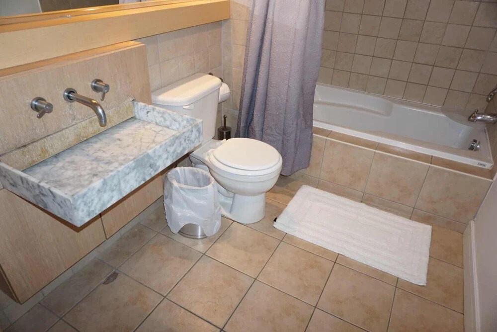 Quartier des Spectacles Downtown Loft Condos