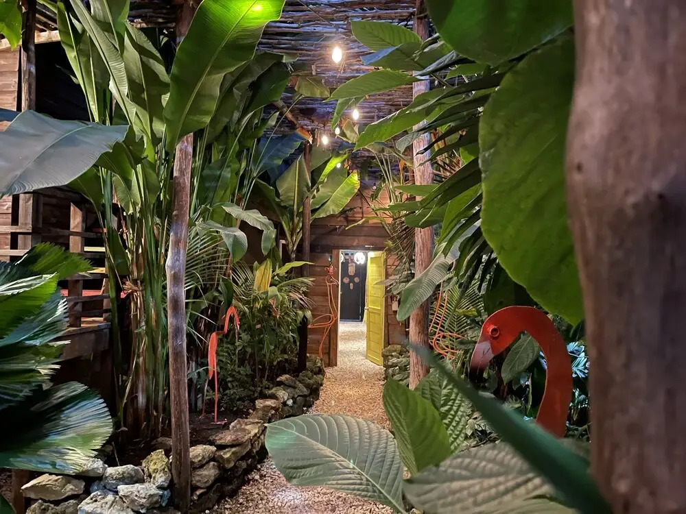 Wild Coffee Retreat - Adults Only