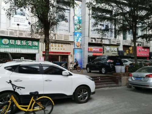 Shenzhen 8090 International Youth East Stat