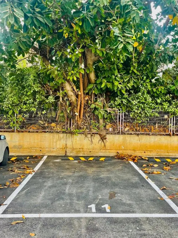 HIGH-END apartment , with a private parking and an elavator